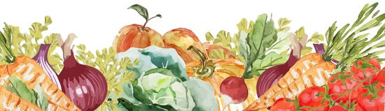 Das Bild zeigt eine Ansammlung von verschiedenen Gemüse- und Obstsorten, darunter Karotten, Zwiebeln, Kohl, Tomaten und Äpfel, in einer Aquarelldarstellung. Die Anordnung erzeugt ein farbenfrohes und natürliches Gesamtbild.