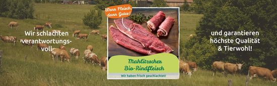 Fleisch