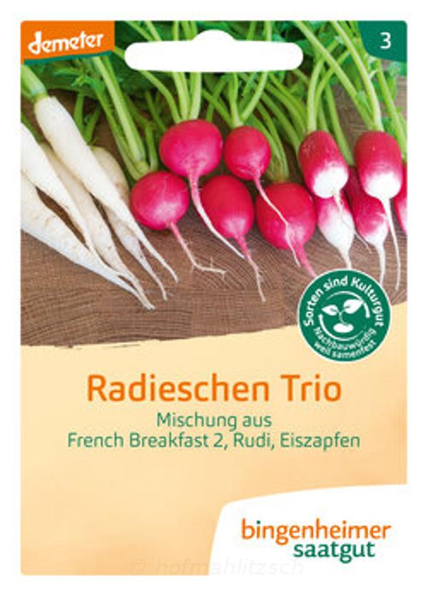 Produktfoto zu Radieschen Trio