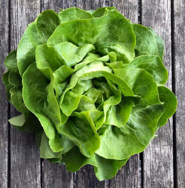 Produktfoto zu Salat (Mahl.)