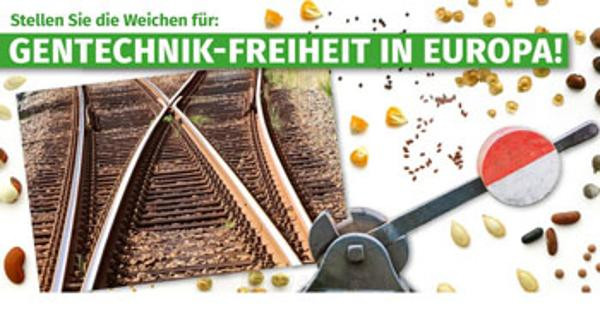 Produktfoto zu Gentechnik-Freiheit in Europa