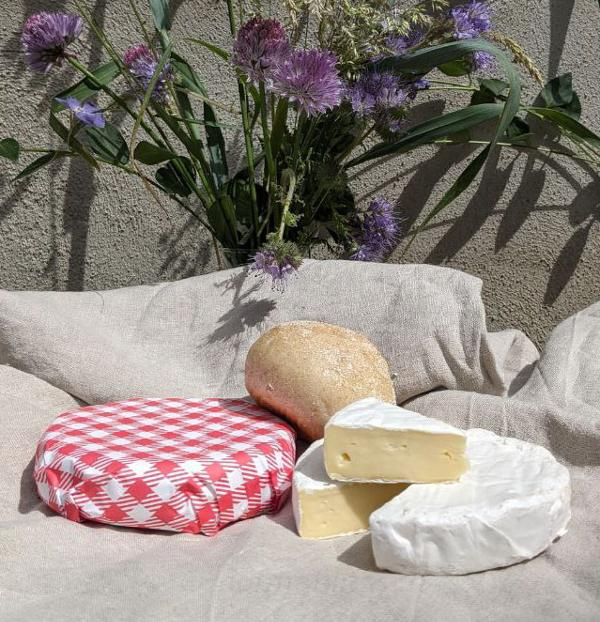 Produktfoto zu Camembert - Weichkäse mit Edelschimmel, gekäst aus Mahlitzscher Milch