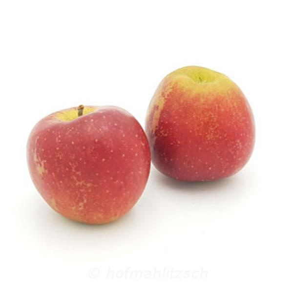 Produktfoto zu Apfel Wellant