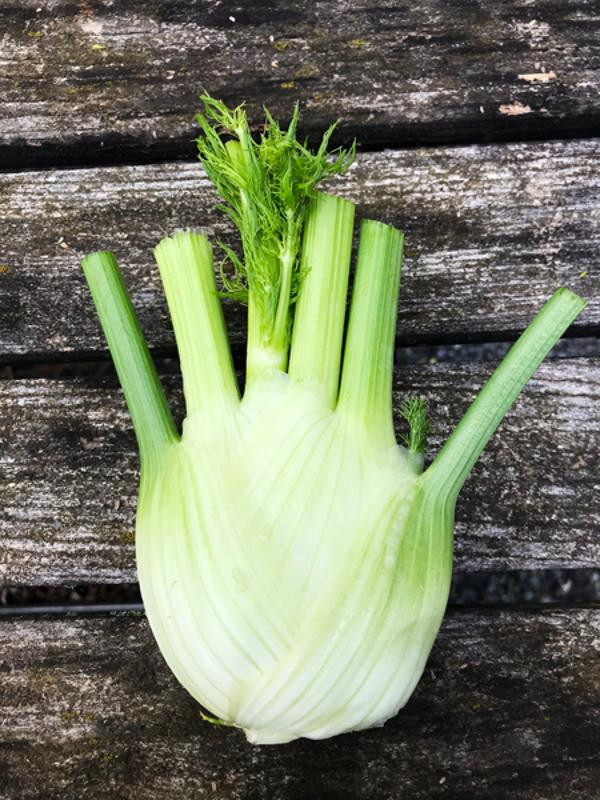 Produktfoto zu Fenchel