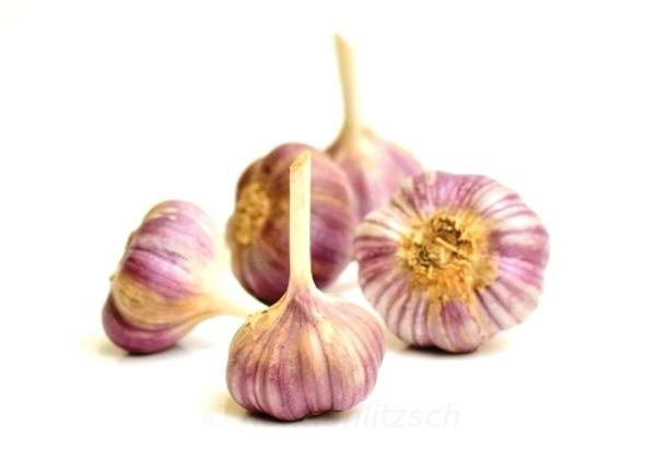 Produktfoto zu Knoblauch