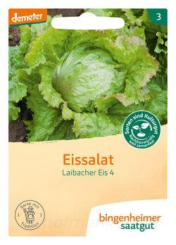 Produktfoto zu Eissalat - Eisbergsalat