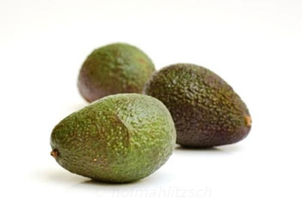 Produktfoto zu Avocado Fuerte