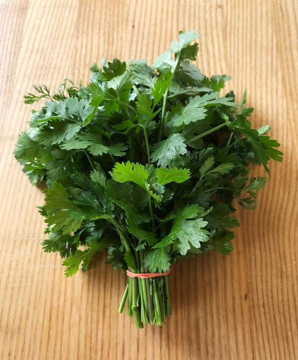 Produktfoto zu Blatt-Koriander