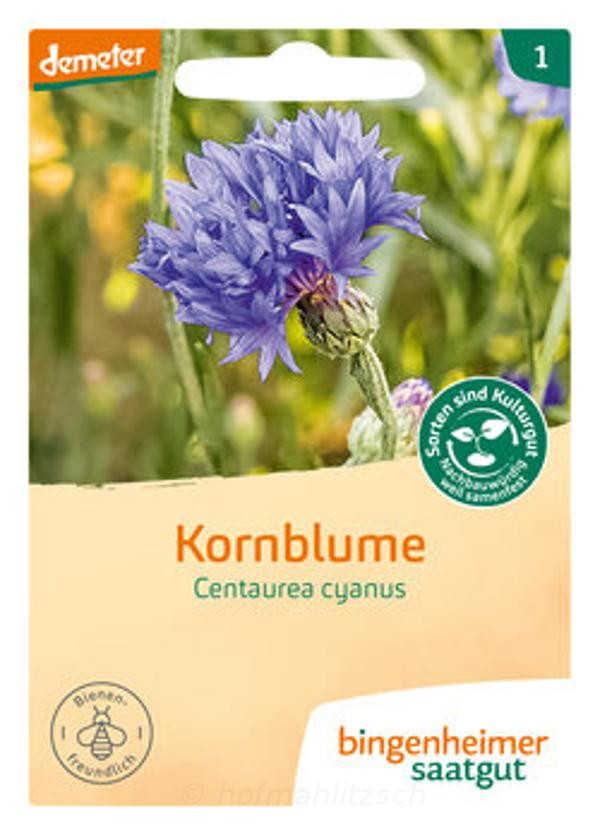 Produktfoto zu Kornblume