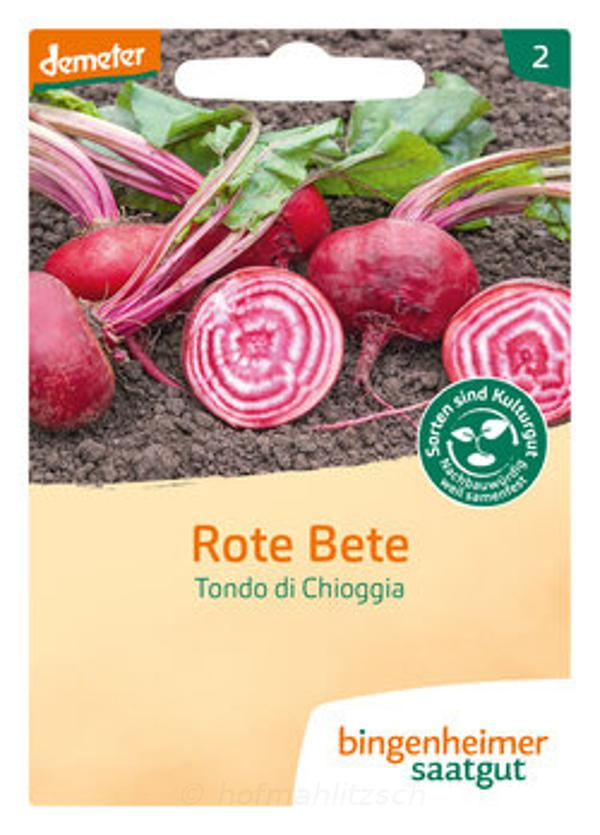 Produktfoto zu Rote Bete Tondo di Choggia