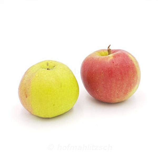 Produktfoto zu Apfel Deljonca