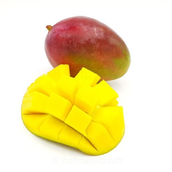 Produktfoto zu Mango Kent