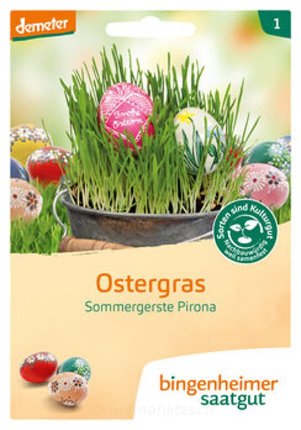 Produktfoto zu Ostergras