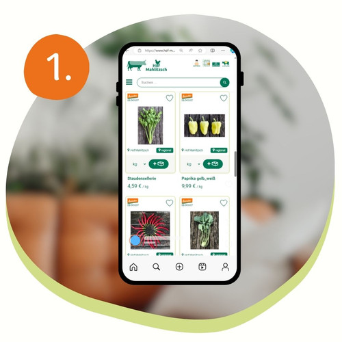 Das Bild zeigt ein Smartphone, auf dem Gemüse von Hof Mahlitzsch abgebildet ist.