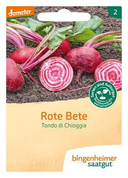 Produktfoto zu Rote Bete Tondo di Choggia