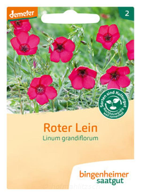 Produktfoto zu Roter Lein